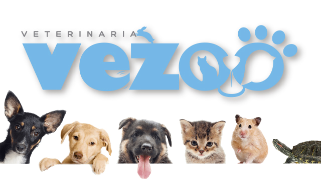 logo-vezoo